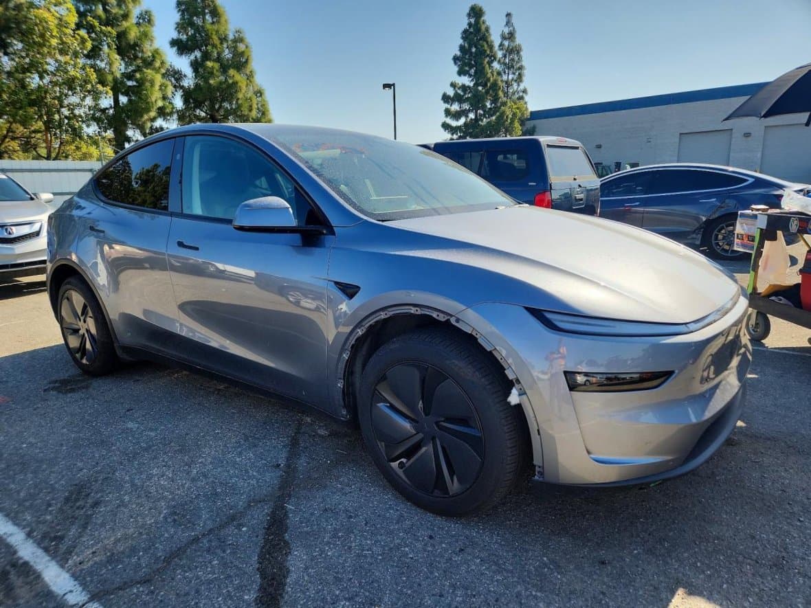 2025 Tesla MODEL Y - 2