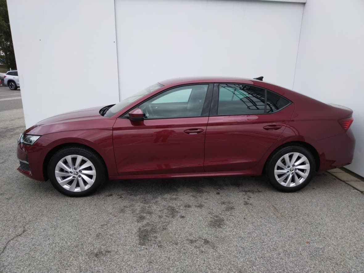 2024 Škoda Octavia - 3