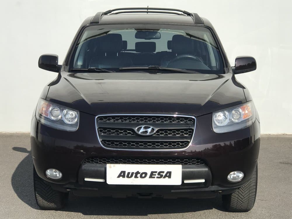 2010 Hyundai SANTA FE - 2