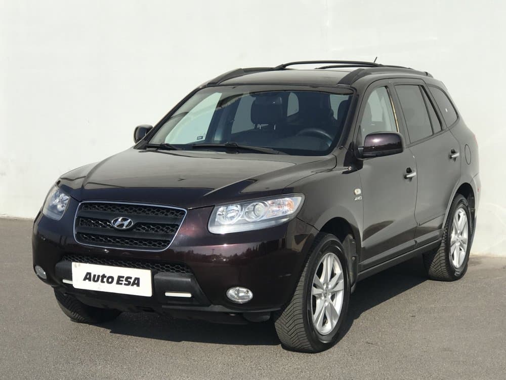 2010 Hyundai SANTA FE - 3
