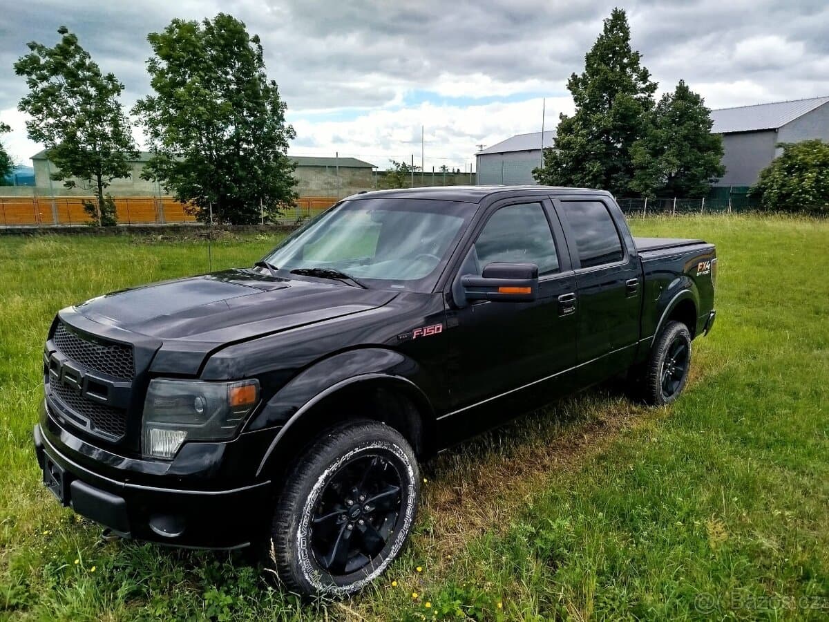2013 Ford OSTATNÍ