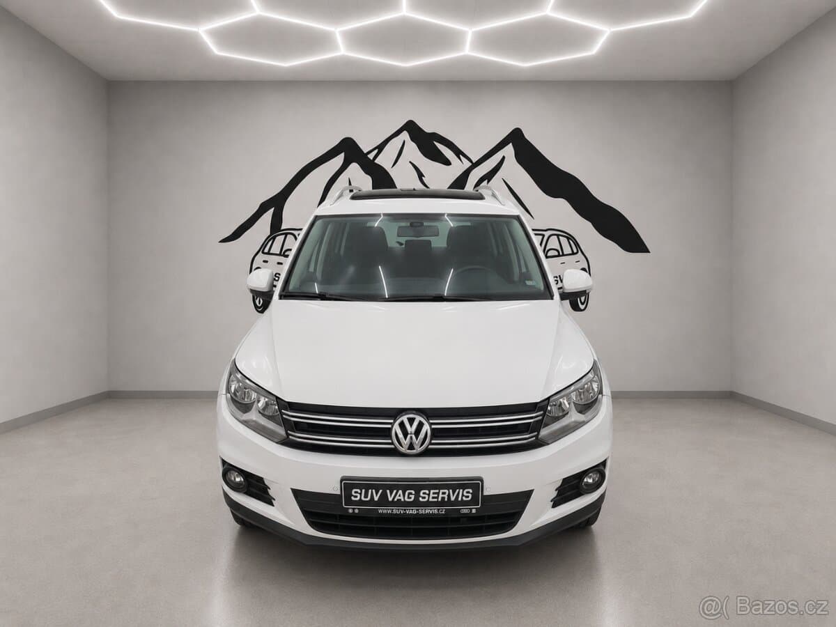 2013 Volkswagen TIGUAN