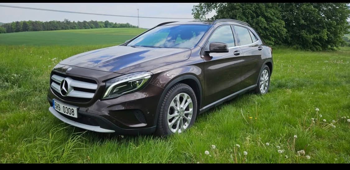 2014 Mercedes-Benz OSTATNÍ