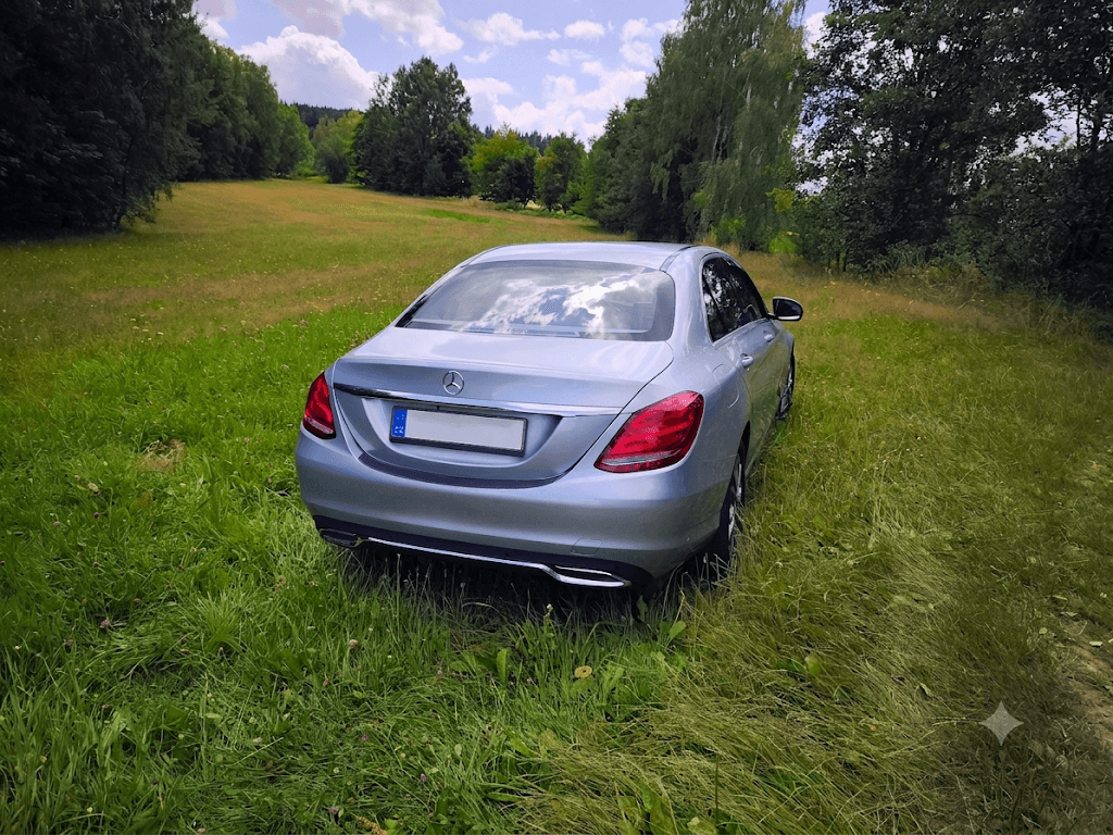 2017 Mercedes-Benz OSTATNÍ