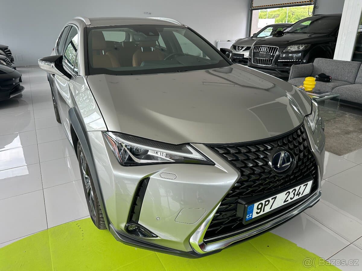 2019 Lexus UX - 10