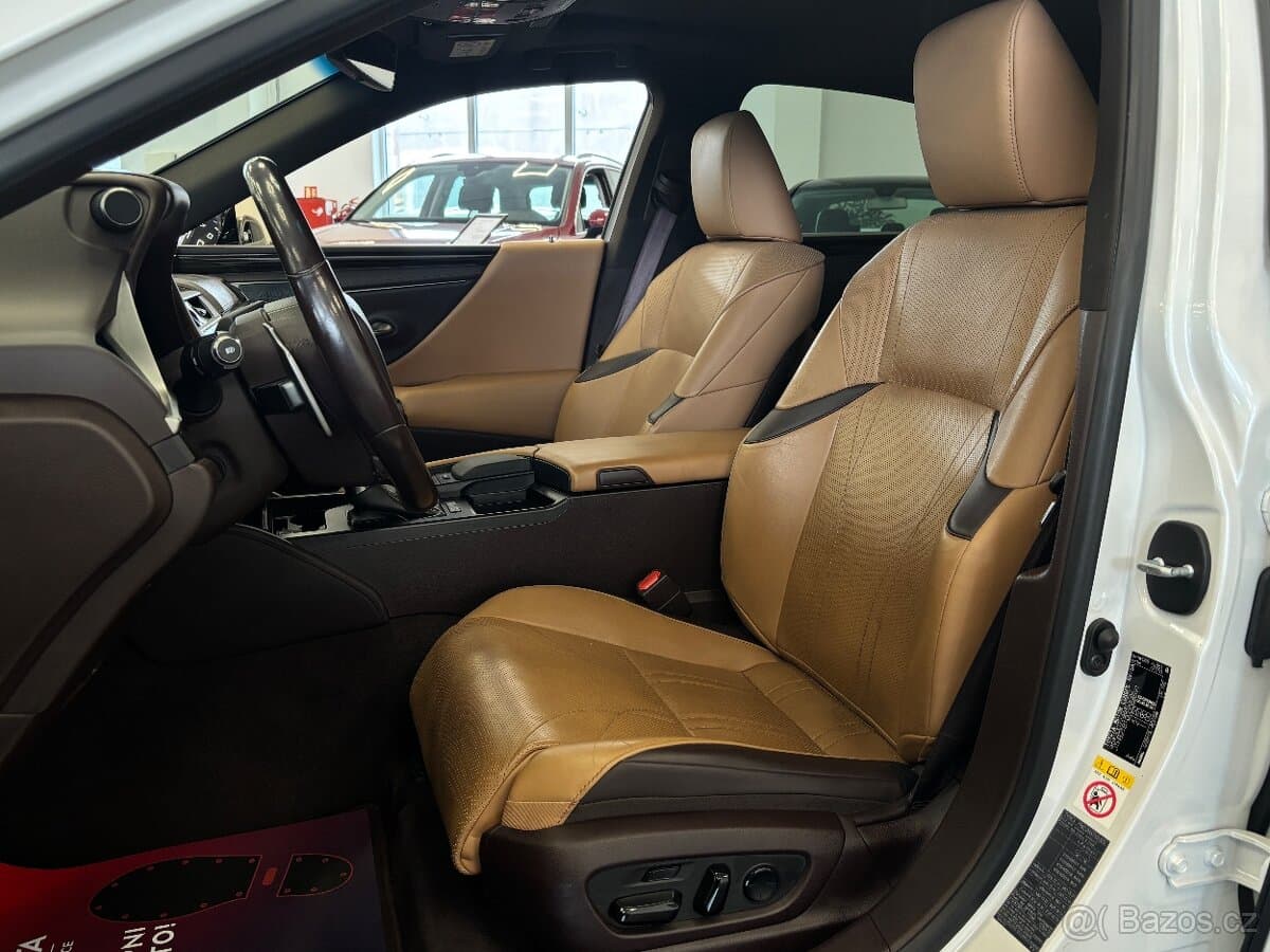 2019 Lexus OSTATNÍ - 10