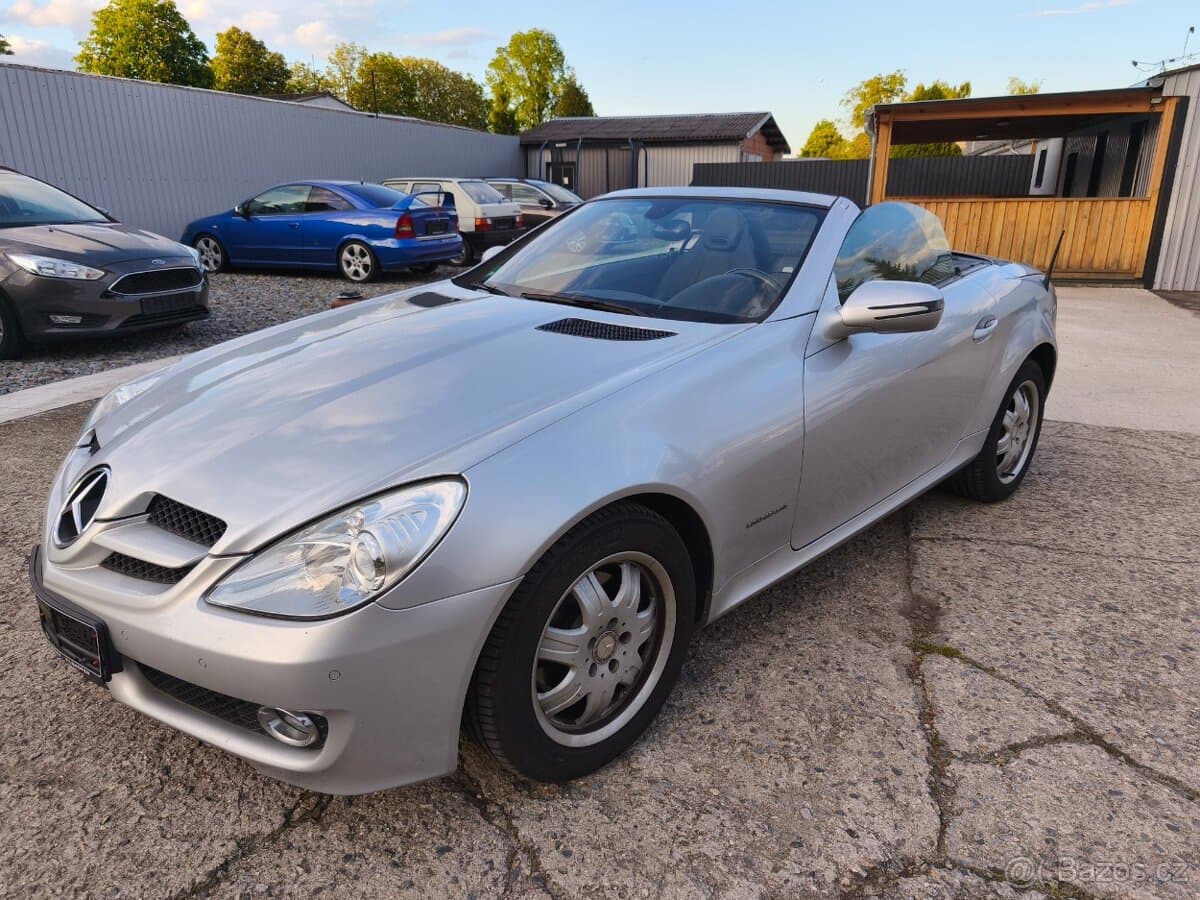 2010 Mercedes-Benz OSTATNÍ - 10