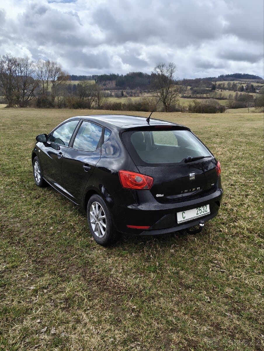 2015 Seat IBIZA - 10