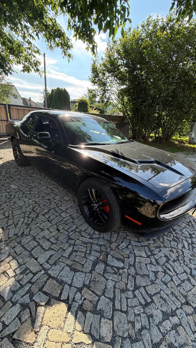 2019 Dodge CHALLENGER - 10