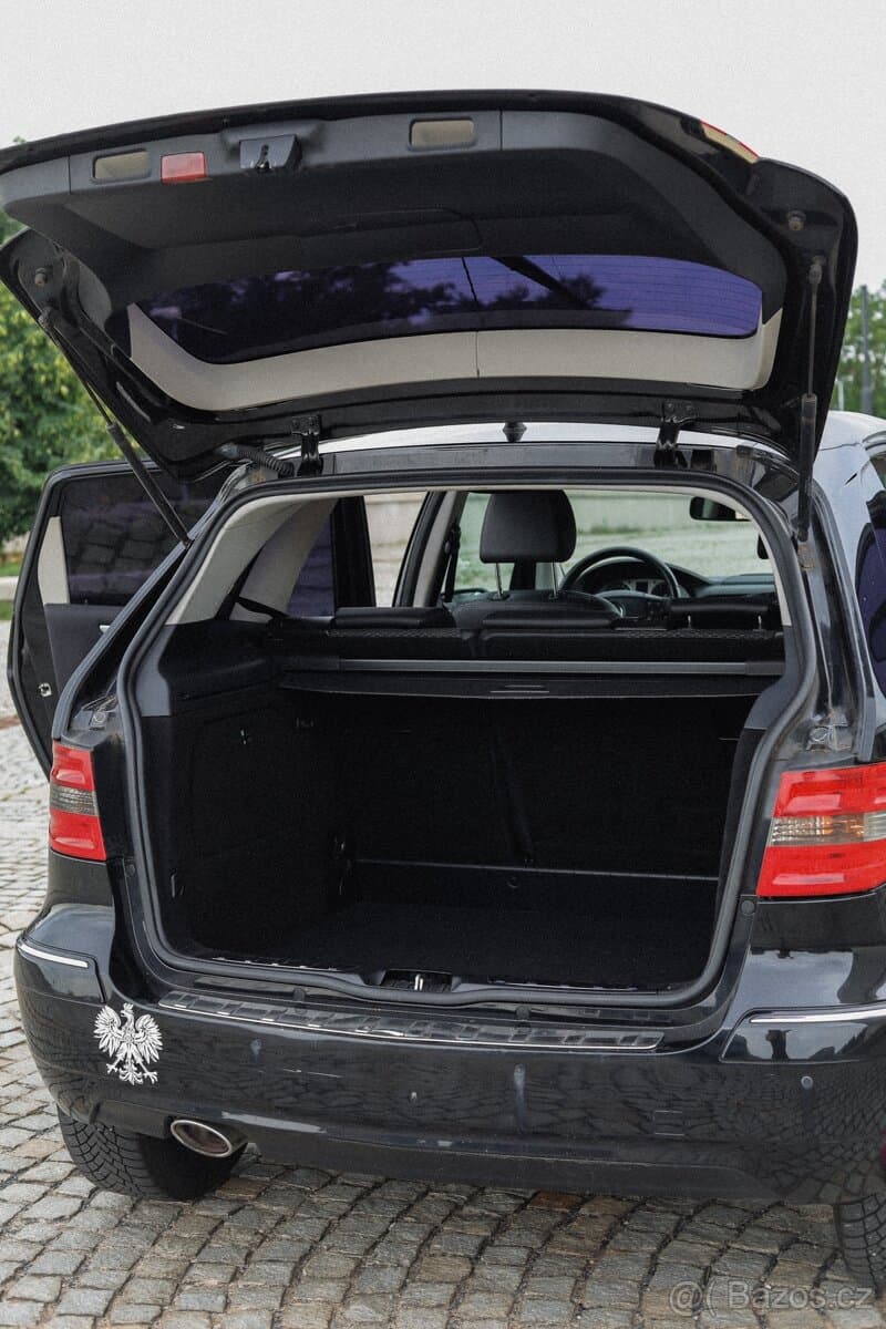 2009 Mercedes-Benz OSTATNÍ - 10