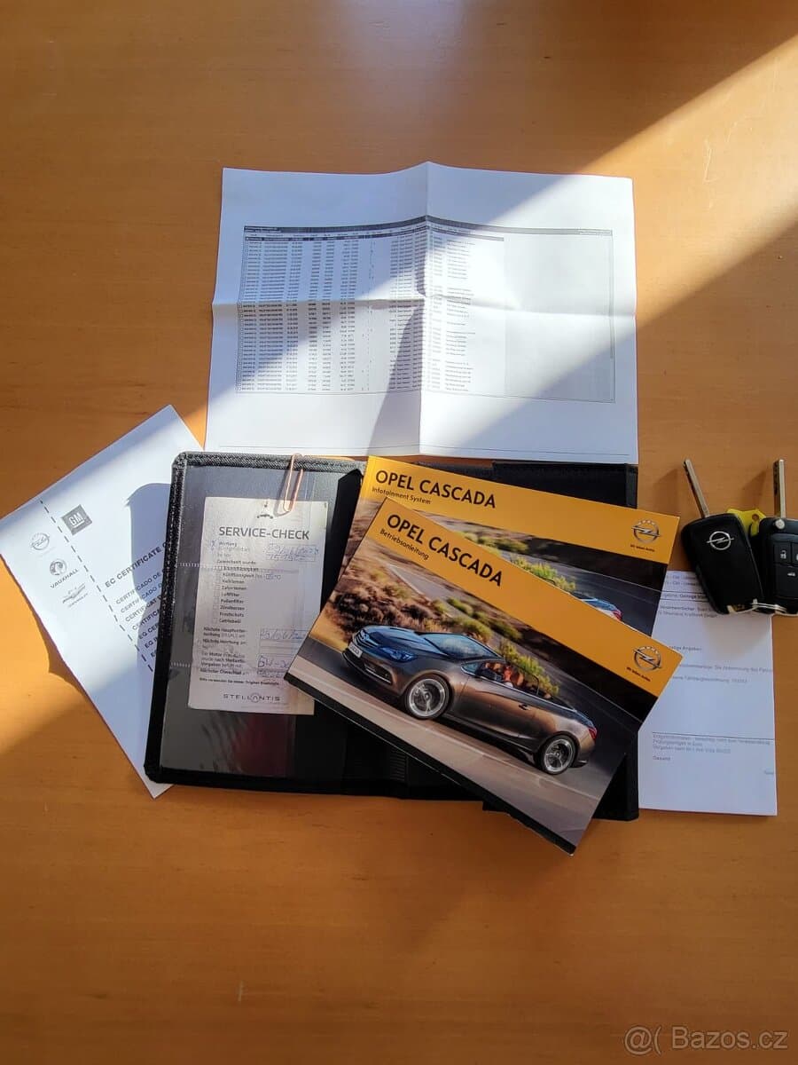 2014 Opel CASCADA - 10