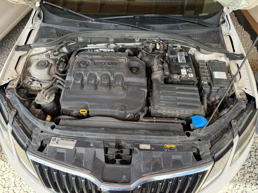 2019 Škoda OCTAVIA - 10
