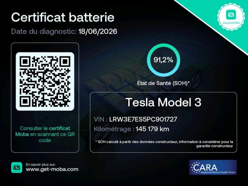 2023 Tesla MODEL 3 - 10