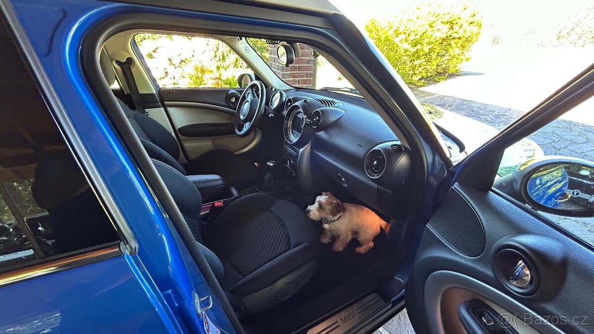 2013 Mini COUNTRYMAN - 10