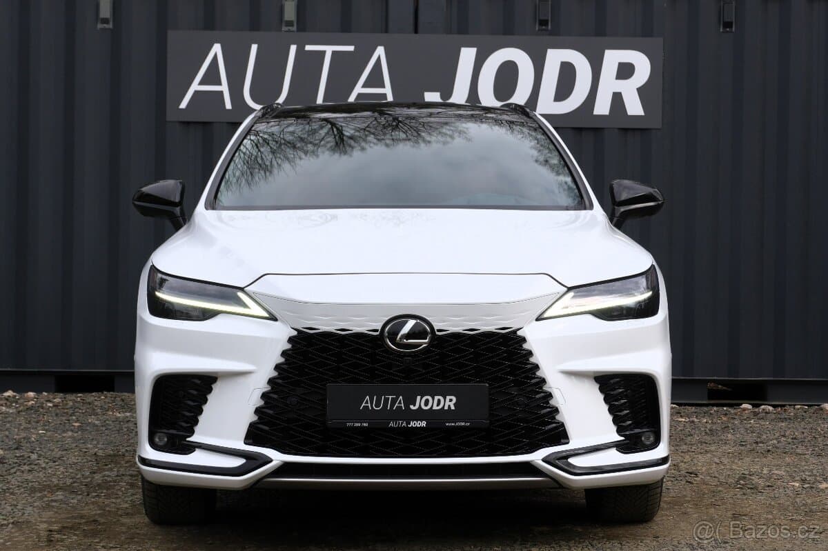 2023 Lexus RX - 10