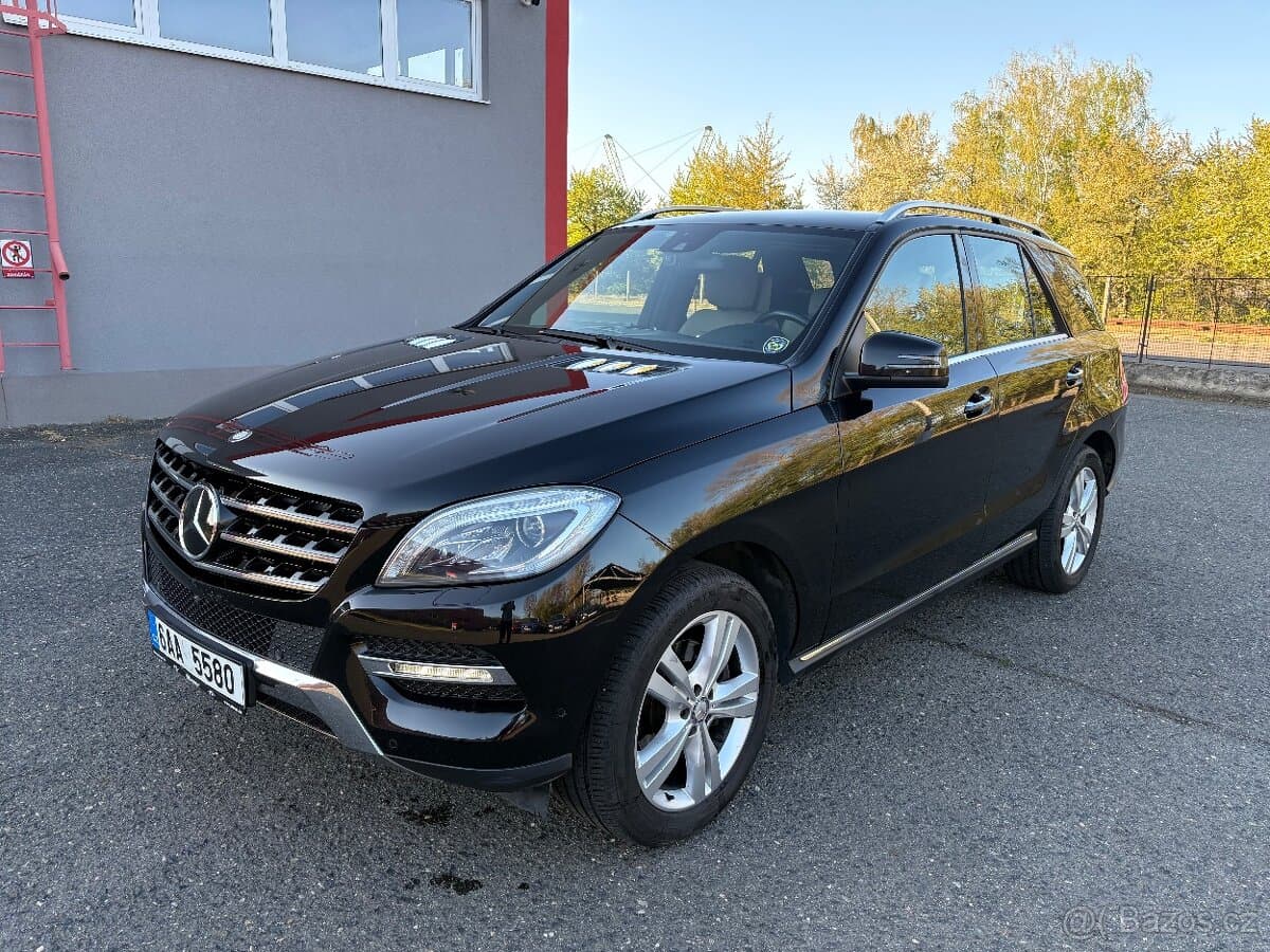 2013 Mercedes-Benz M-CLASS - 10