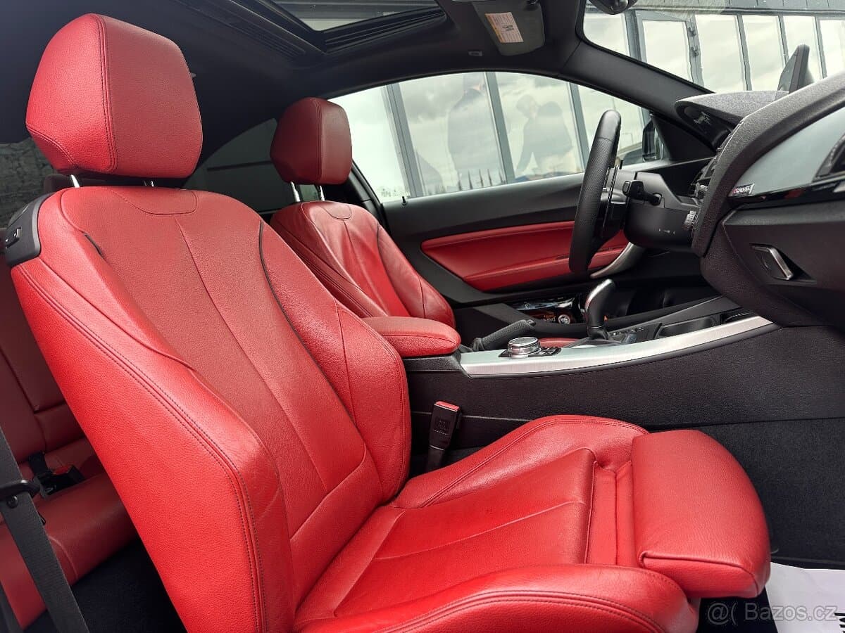 2016 BMW M2 - 10