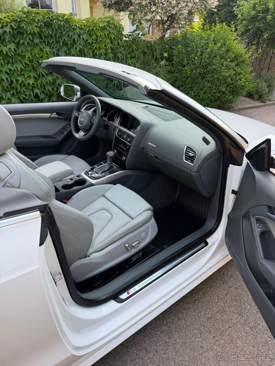 2014 Audi S5 - 10