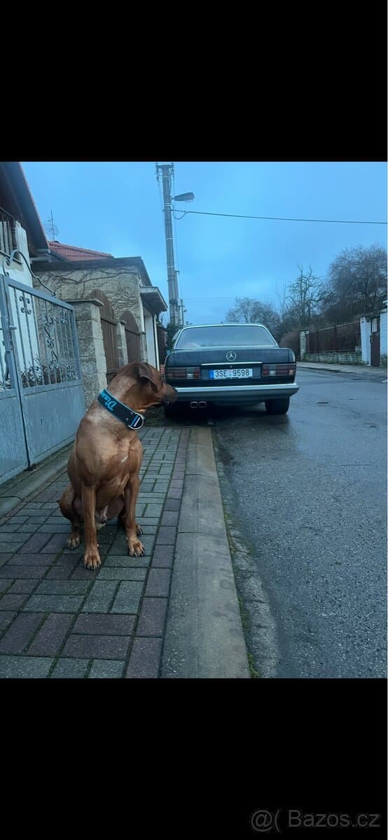 1990 Mercedes-Benz OSTATNÍ - 10