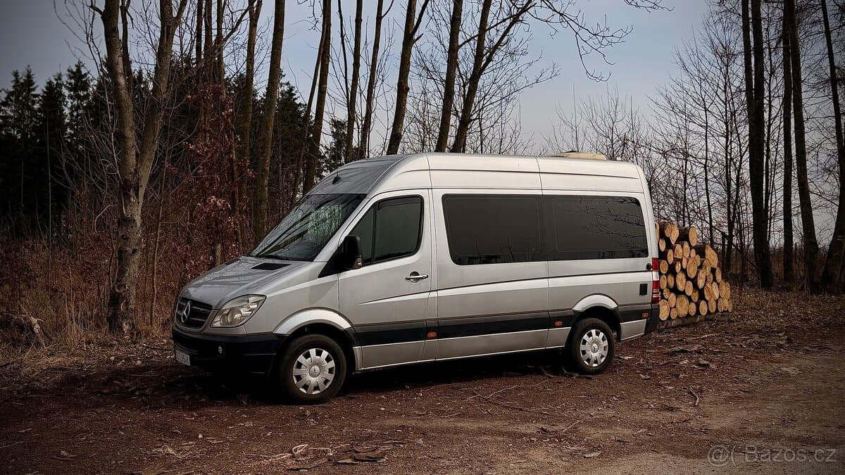 2006 Mercedes-Benz SPRINTER - 10
