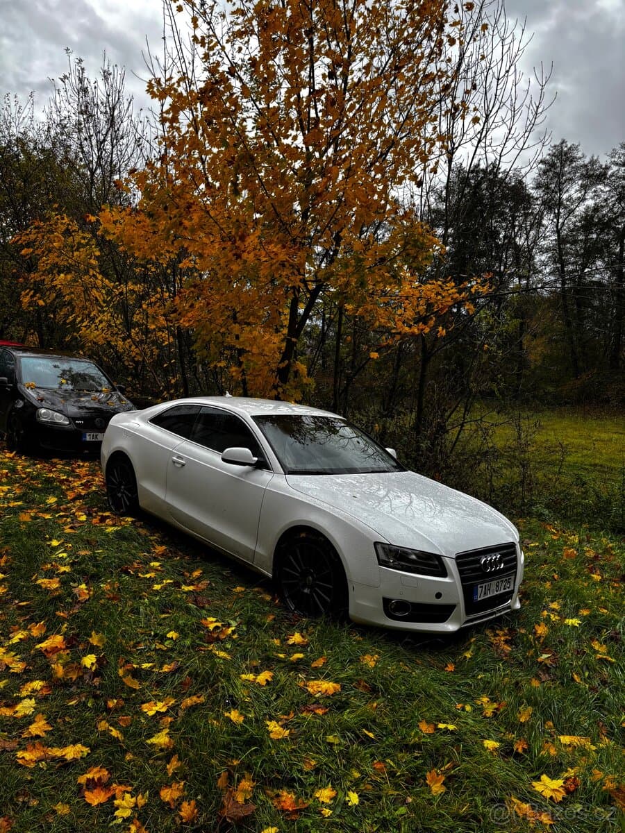 2009 Audi A5 - 10