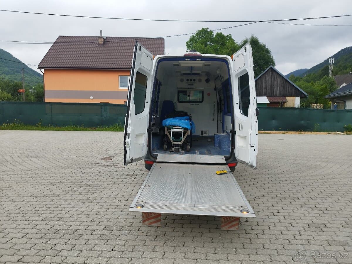 2009 Mercedes-Benz SPRINTER - 10