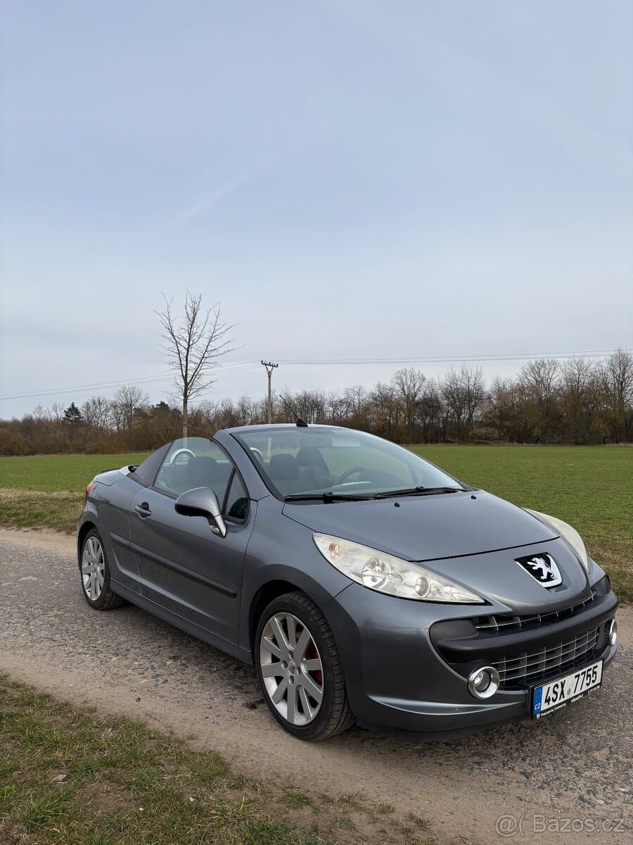 2007 Peugeot 207 - 10