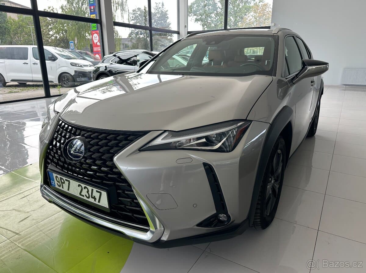 2019 Lexus UX - 11