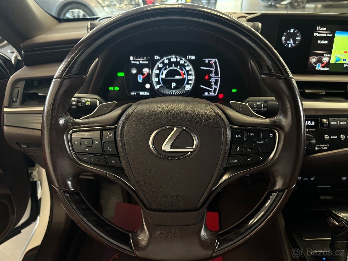 2019 Lexus OSTATNÍ - 11