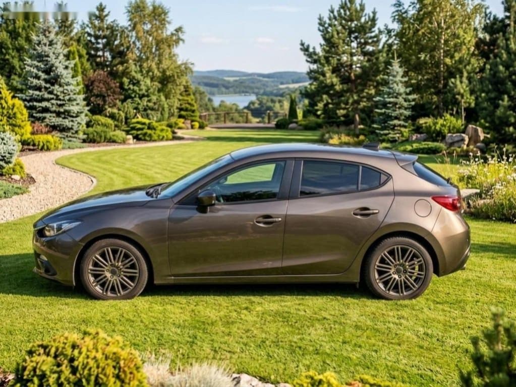2014 Mazda 3 - 11