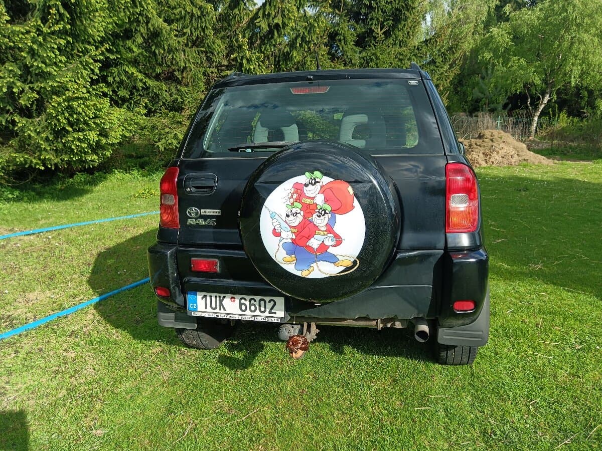 2002 Toyota RAV4 - 11