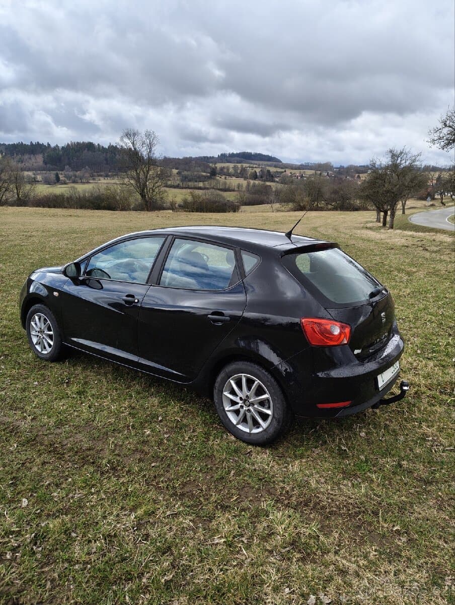 2015 Seat IBIZA - 11