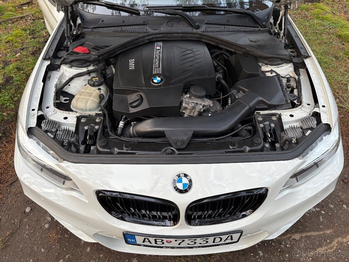 2014 BMW M2 - 11