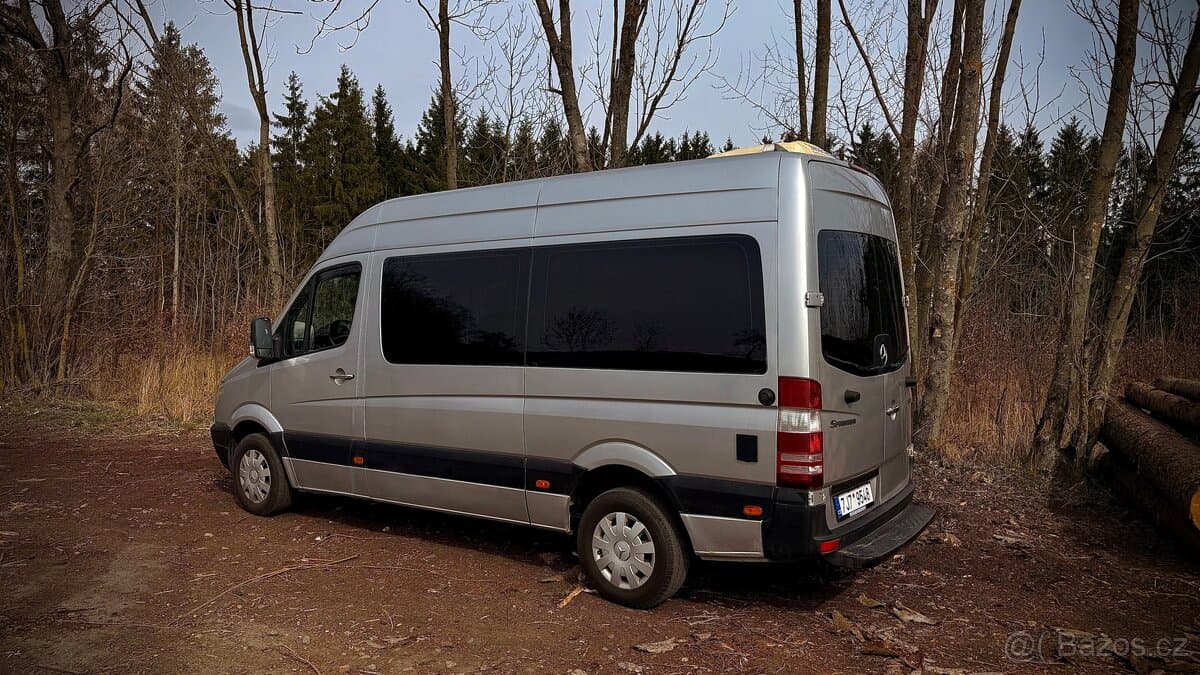 2006 Mercedes-Benz SPRINTER - 11
