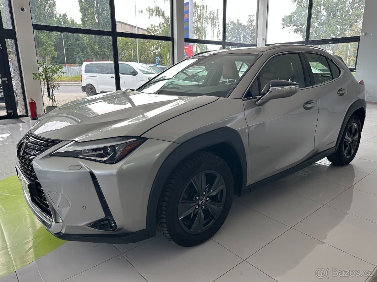 2019 Lexus UX - 12