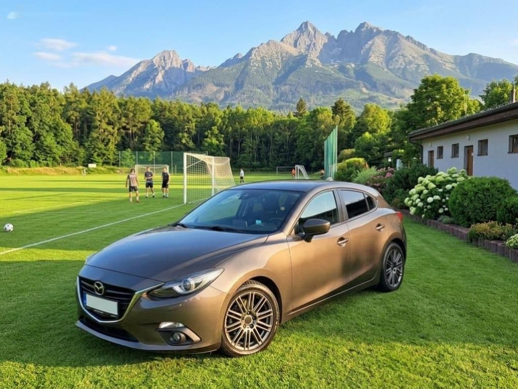 2014 Mazda 3 - 12