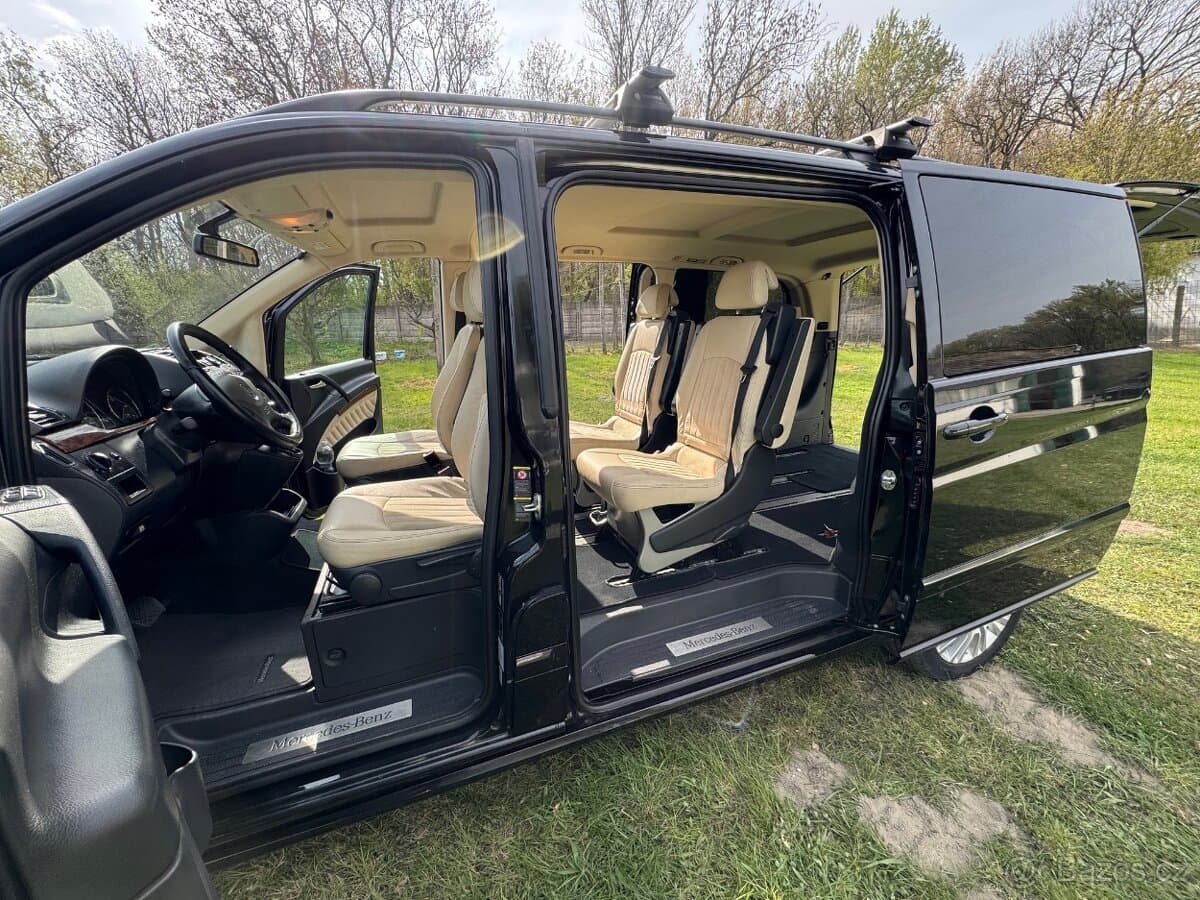 2009 Mercedes-Benz VIANO - 12
