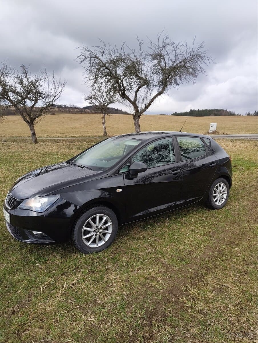 2015 Seat IBIZA - 12