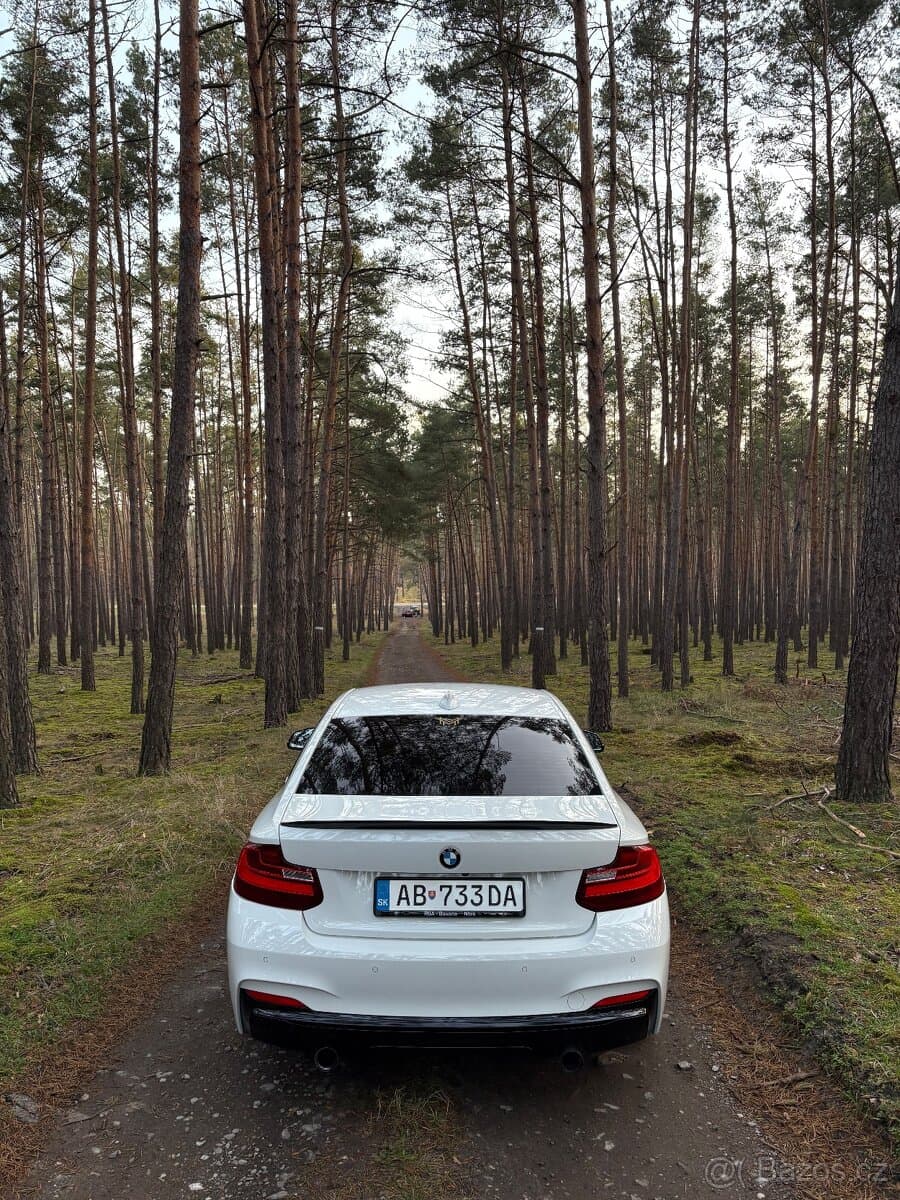 2014 BMW M2 - 12