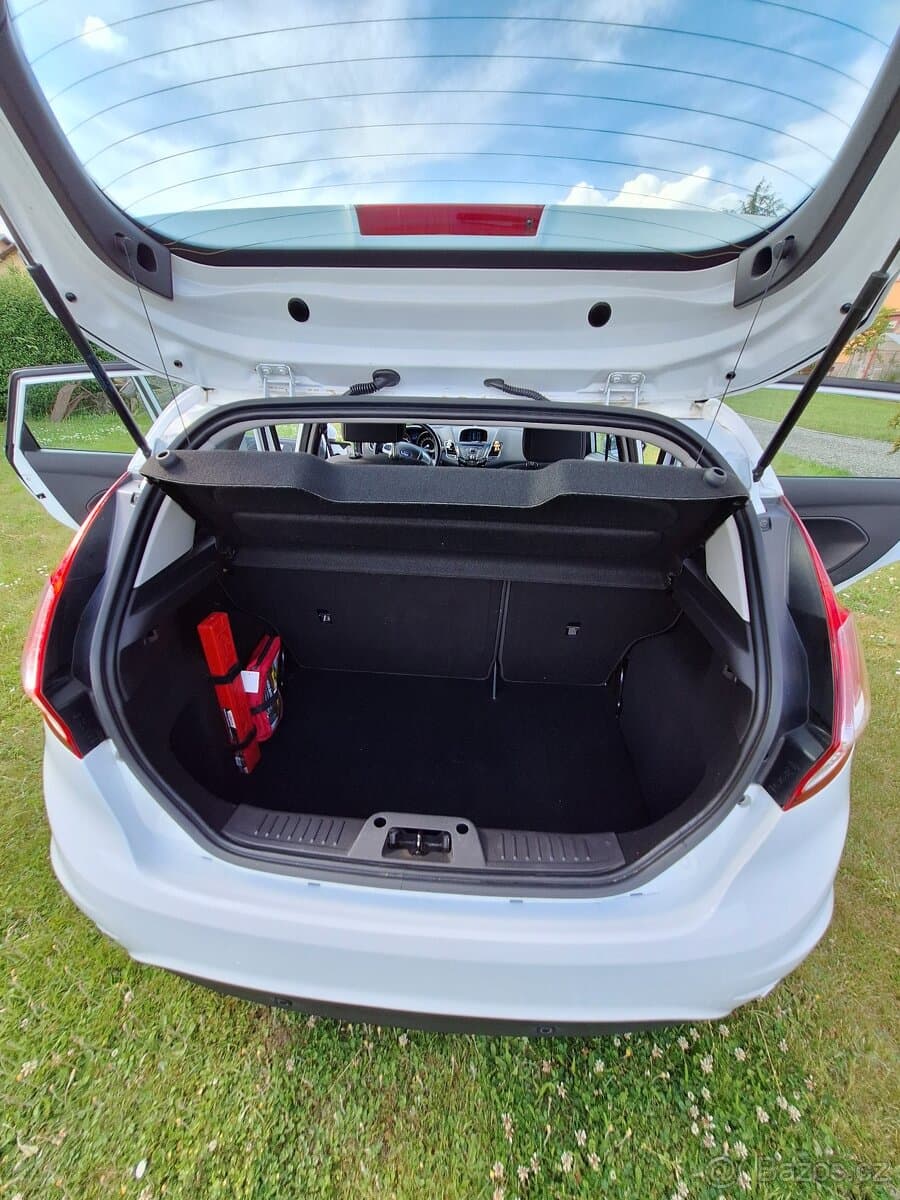 2013 Ford FIESTA - 12