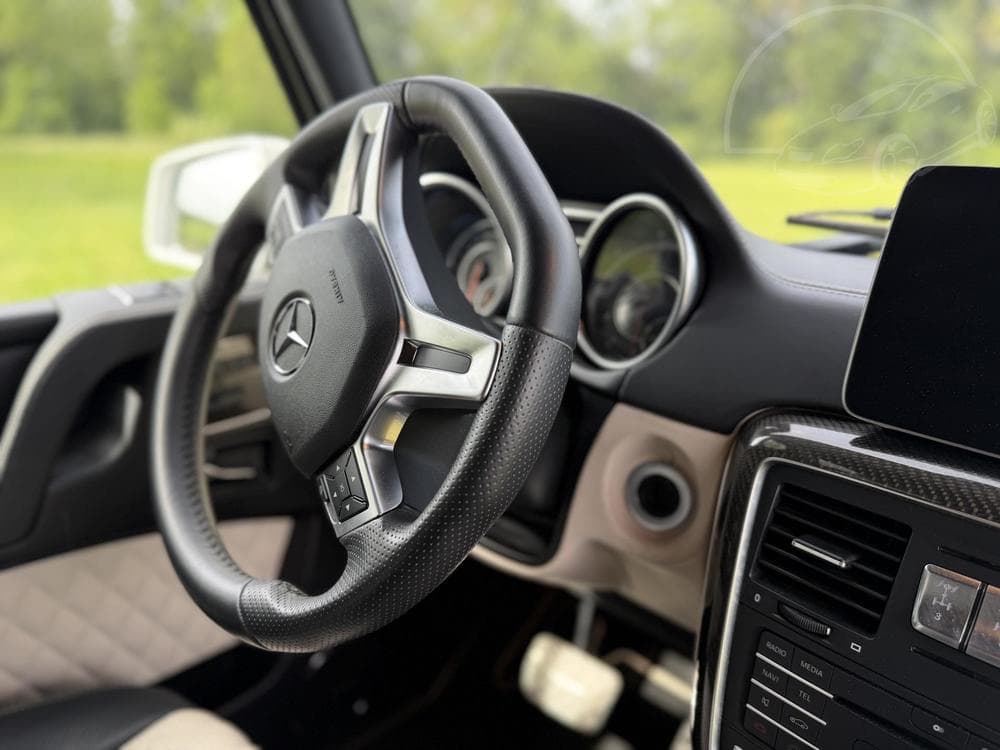 2018 Mercedes-Benz OSTATNÍ - 13