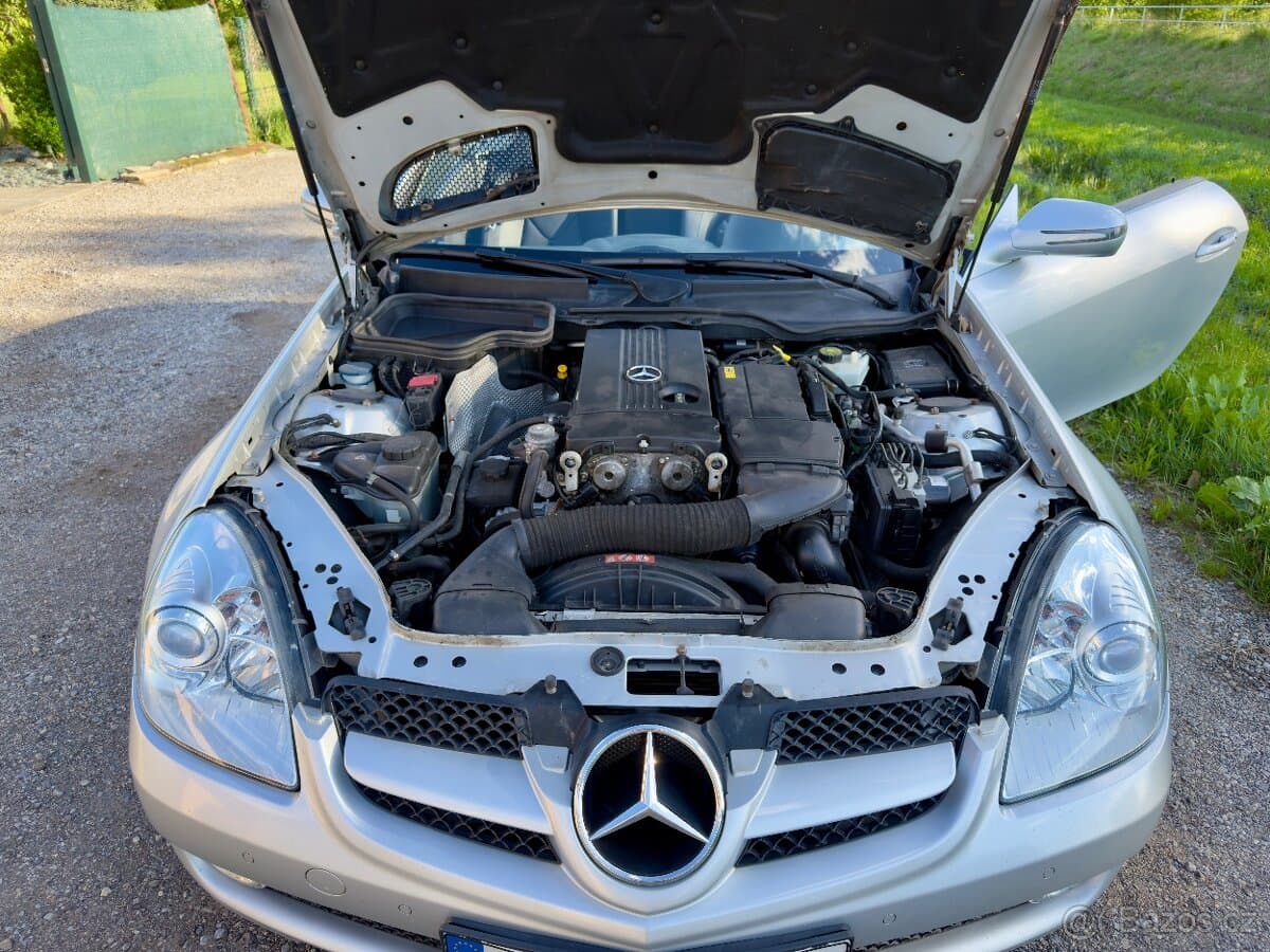 2010 Mercedes-Benz OSTATNÍ - 13