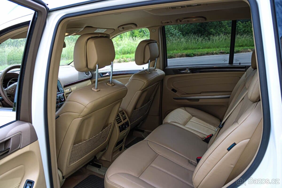 2010 Mercedes-Benz GL - 13