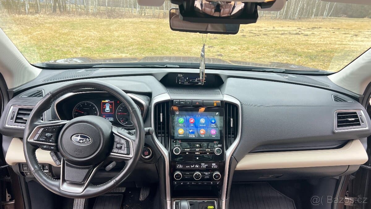 2019 Subaru OSTATNÍ - 13