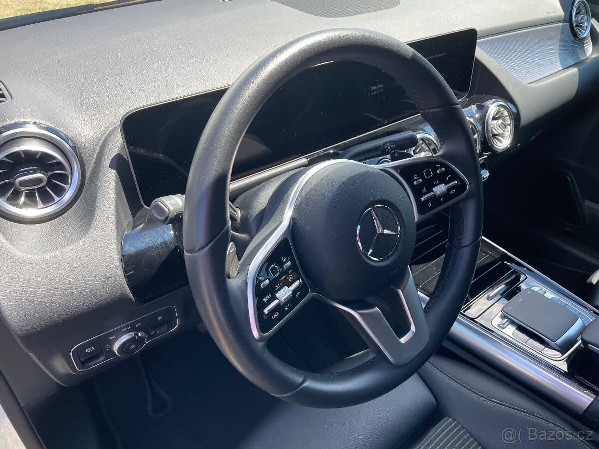 2019 Mercedes-Benz OSTATNÍ - 13