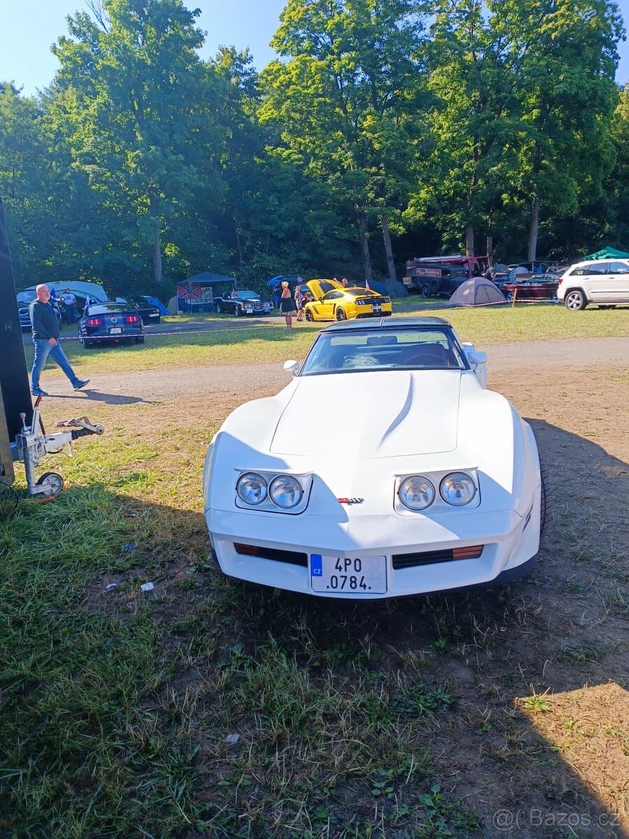 1982 Chevrolet CORVETTE - 14