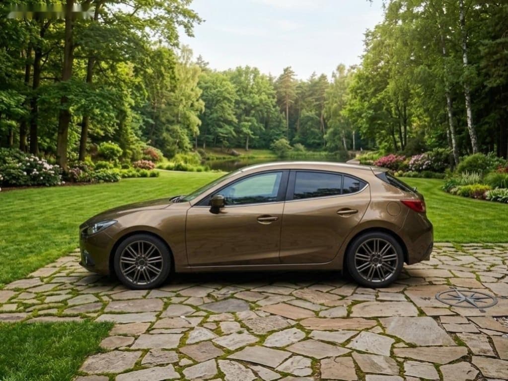 2014 Mazda 3 - 14