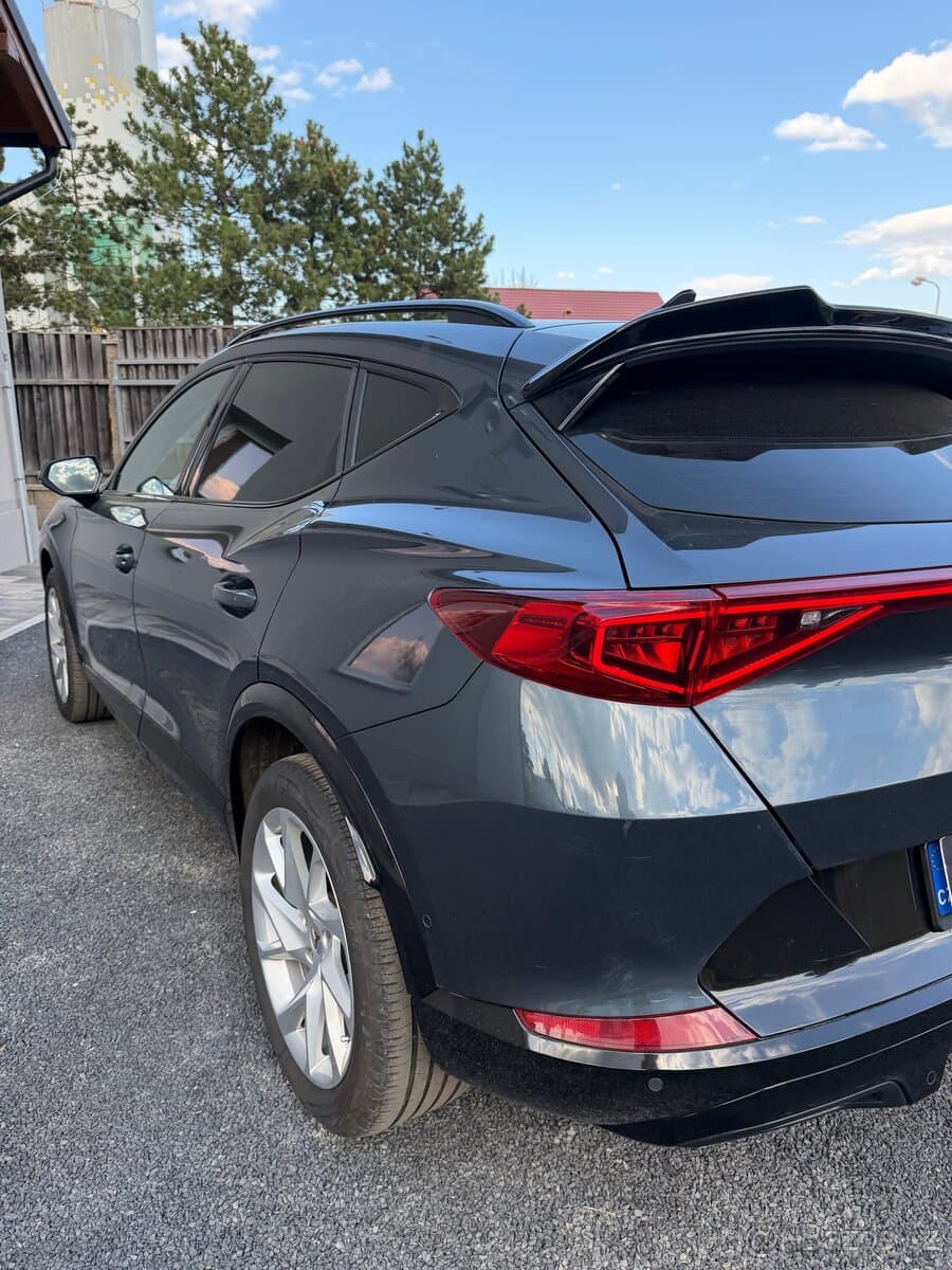 2020 Cupra FORMENTOR - 14