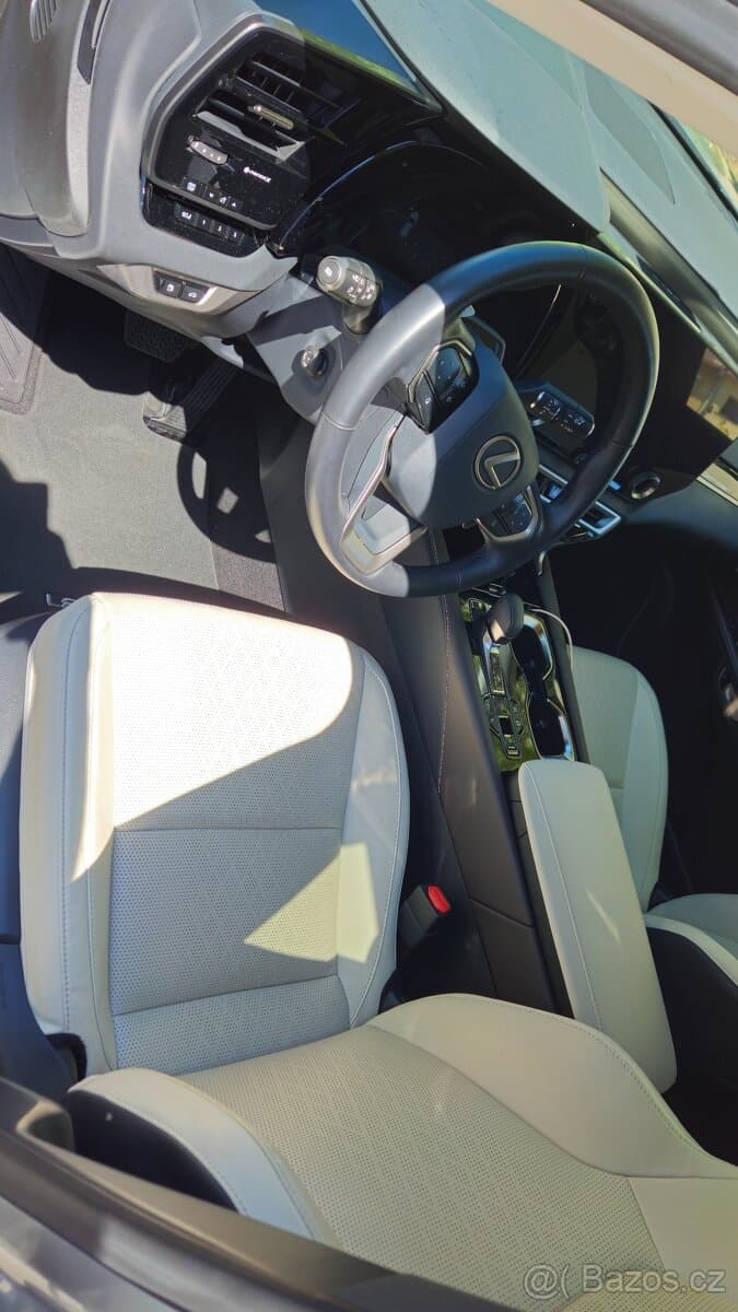 2023 Lexus RX - 14