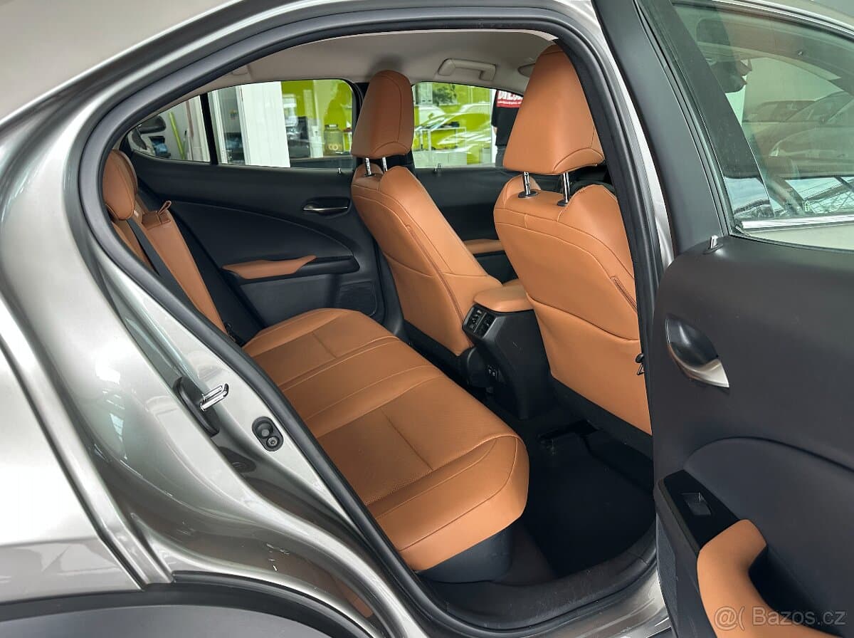 2019 Lexus UX - 15